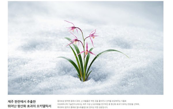 Innisfree Jeju orchid skin care set
